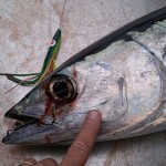 Picture_144[1]