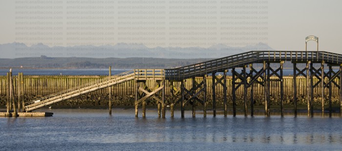 greavesphoto-0371122