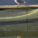 greavesphoto-0386