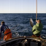 greavesphoto-0727