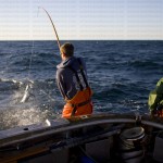 greavesphoto-0731