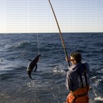 greavesphoto-0732