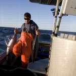 greavesphoto-0763