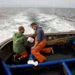 greavesphoto-0906