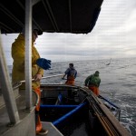 greavesphoto-0927