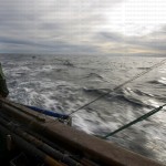 greavesphoto-0962