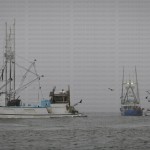 greavesphoto-10407