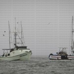 greavesphoto-10489