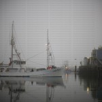 greavesphoto-1793