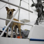 greavesphoto-2210