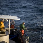 greavesphoto-2356