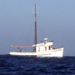 Garda Marie