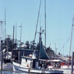 Idle Hour