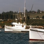 Loyal Christe II