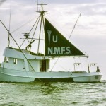 Mare Lee