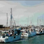 new-boats