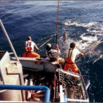new-fishing-03