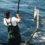new-scott-fishing