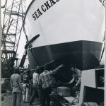 new-sea-chase