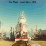 new-three-hawks