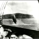pic-clarion-island